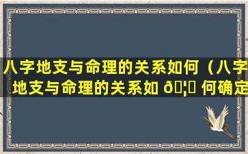 八字地支与命理的关系如何（八字地支与命理的关系如 🦋 何确定）